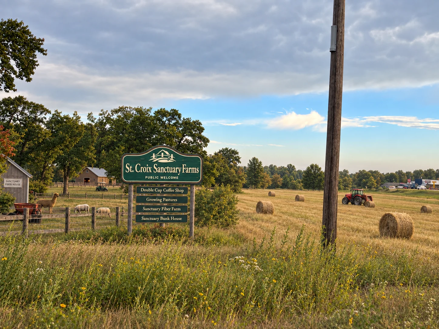 Street view of the St. Croix Sanctuary Farms roadside sign — a green routed sign reading “St. Croix Sanctuary Farms · Public Welcome” with panels for Double Cup Coffee Shop, Growing Pastures, Sanctuary Fiber Farm, and Sanctuary Bunk House; sheep, an alpaca, a barn, hay bales, and a tractor beyond.